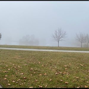 Meet your Posher, Jamy